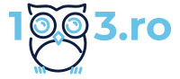 1doi3.ro